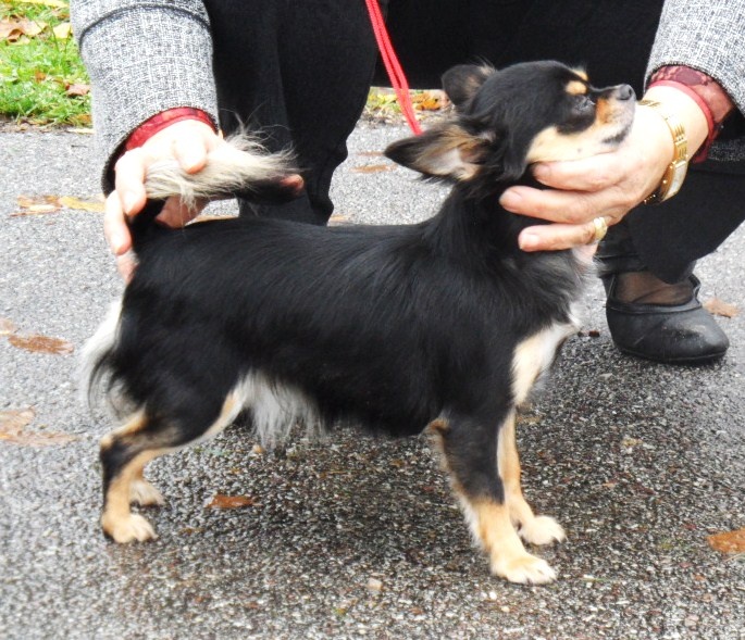 Ghostine du Paradis des P'tits Cracks - 3 ème exc sur 12