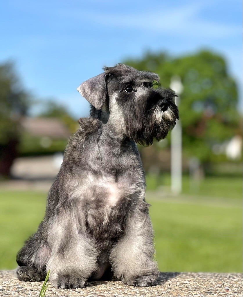 Good-luck more ocharovania