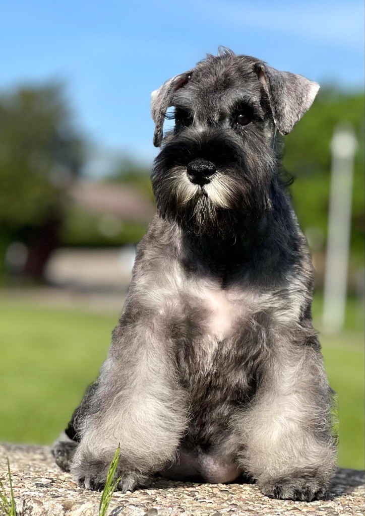 Good-luck more ocharovania