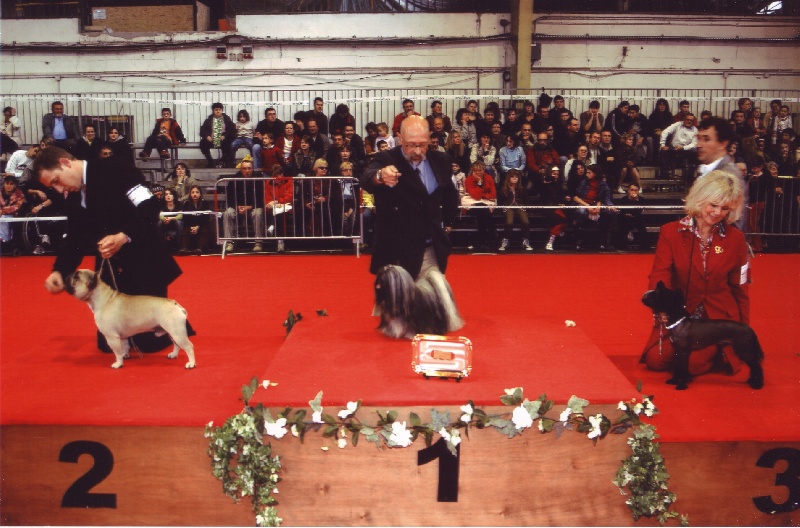 Publication : Du domaine du president Auteur : Legends