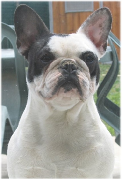 Publication : Du tertre noir