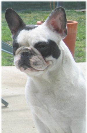 Publication : Du tertre noir