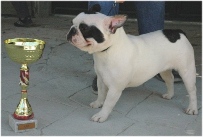 Publication : Du tertre noir