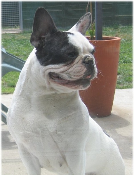 Publication : Du tertre noir