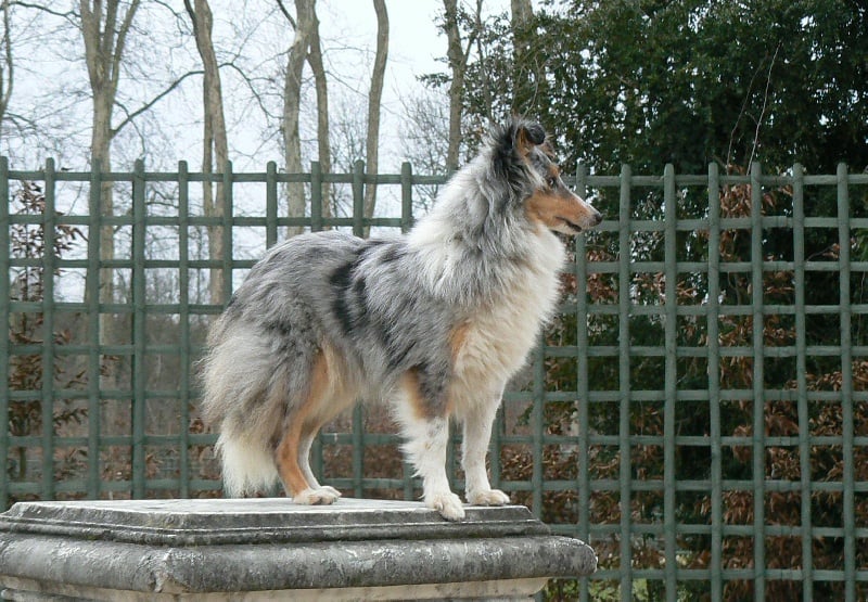 Publication : De L'Oustaou de Sandy