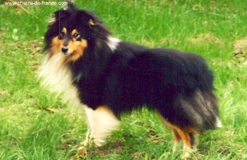 Publication : De L'Oustaou de Sandy