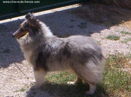 Publication : De L'Oustaou de Sandy