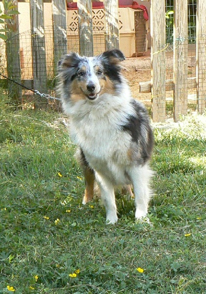 Publication : De L'Oustaou de Sandy