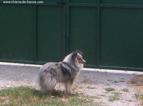 Publication : De L'Oustaou de Sandy