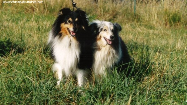 Publication : De L'Oustaou de Sandy