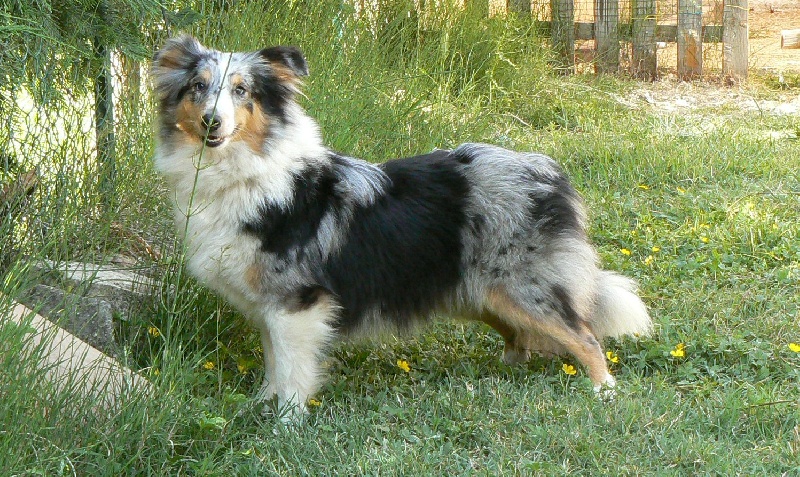 Publication : De L'Oustaou de Sandy