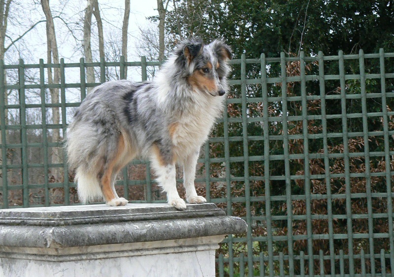 Publication : De L'Oustaou de Sandy