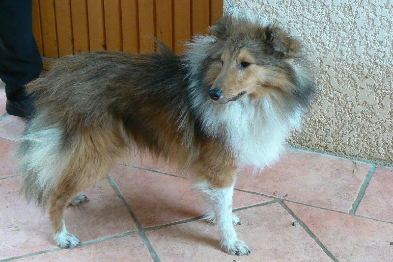 Publication : De L'Oustaou de Sandy