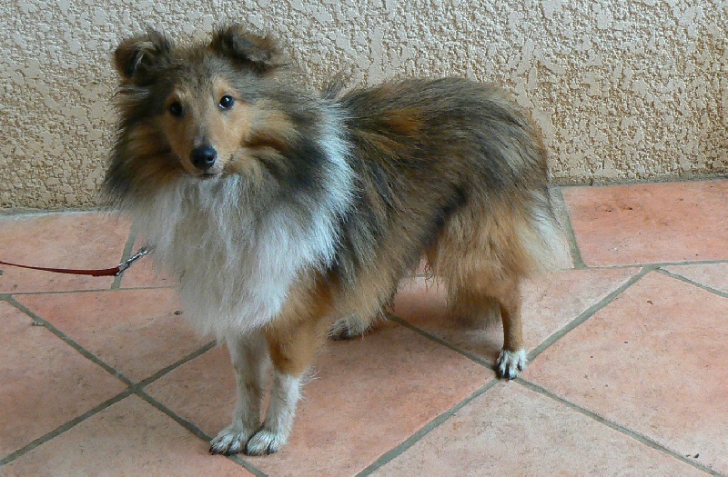 Publication : De L'Oustaou de Sandy