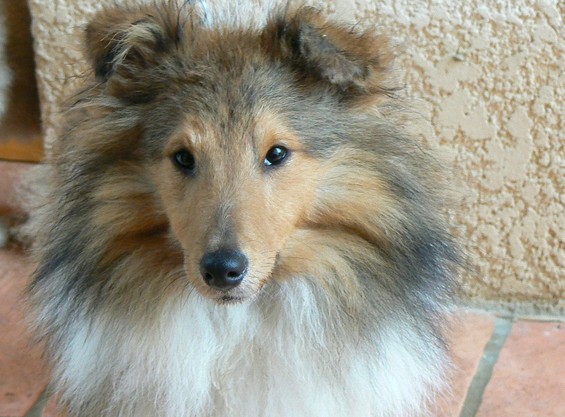 Publication : De L'Oustaou de Sandy