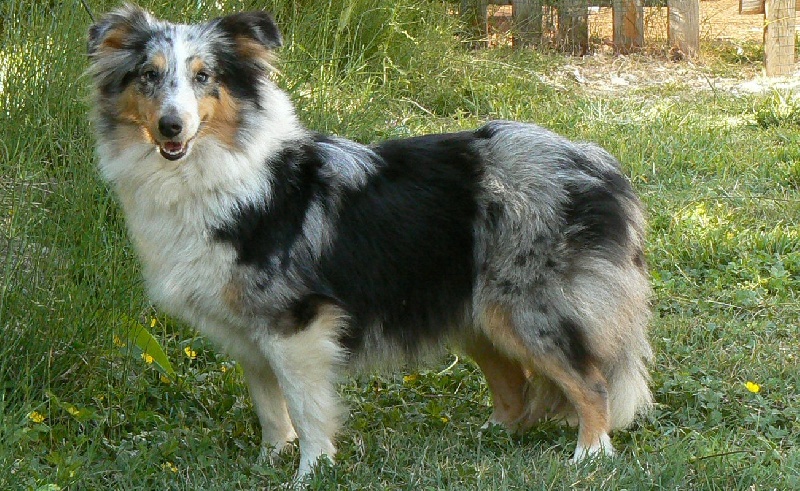 Publication : De L'Oustaou de Sandy