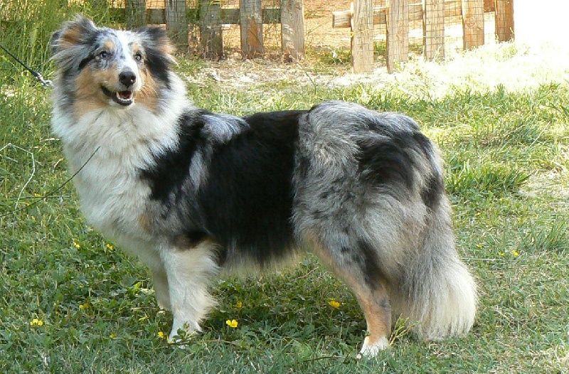 Publication : De L'Oustaou de Sandy