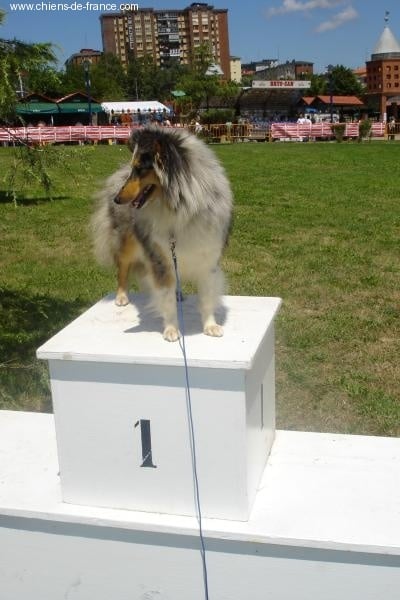 Publication : De L'Oustaou de Sandy