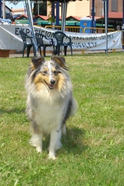 Publication : De L'Oustaou de Sandy