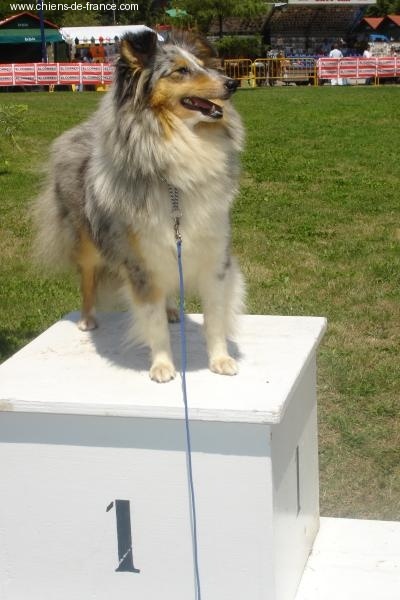 Publication : De L'Oustaou de Sandy