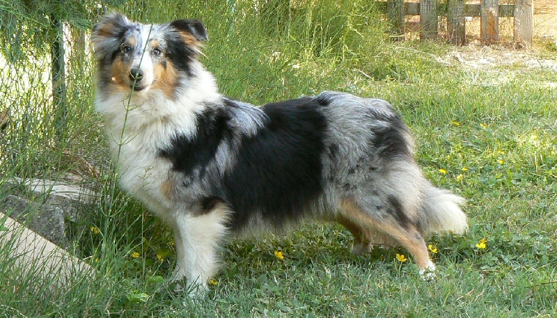 Publication : De L'Oustaou de Sandy