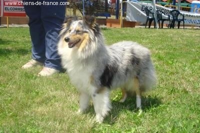 Publication : De L'Oustaou de Sandy