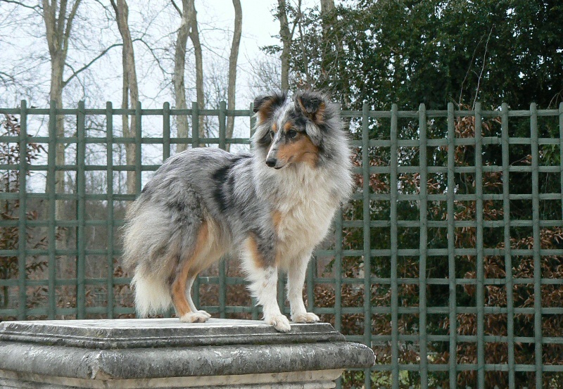 Publication : De L'Oustaou de Sandy