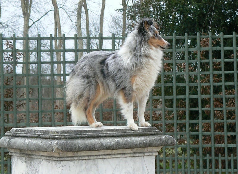 Publication : De L'Oustaou de Sandy