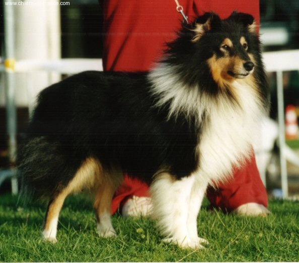 Publication : De L'Oustaou de Sandy