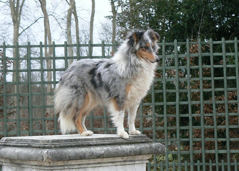 Publication : De L'Oustaou de Sandy