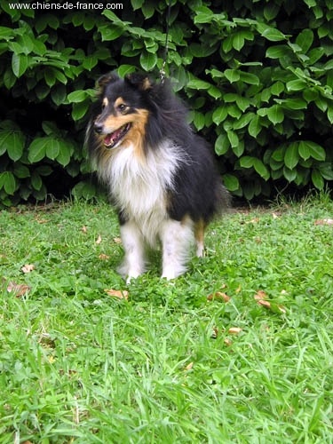 Publication : De L'Oustaou de Sandy