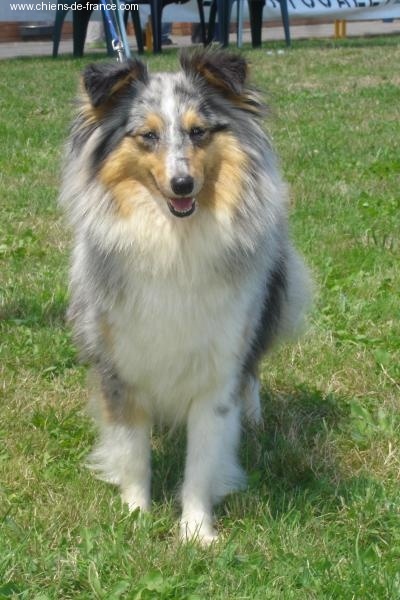 Publication : De L'Oustaou de Sandy