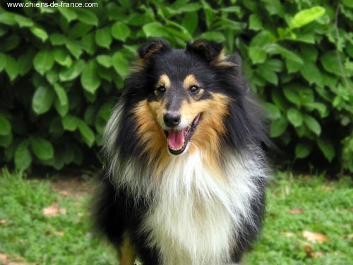 Publication : De L'Oustaou de Sandy