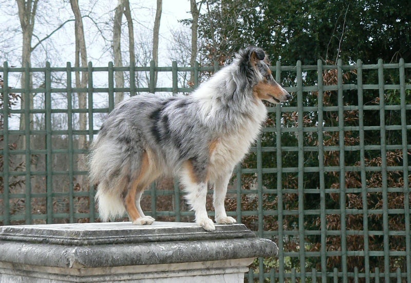 Publication : De L'Oustaou de Sandy