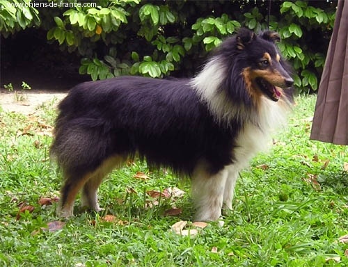 Publication : De L'Oustaou de Sandy