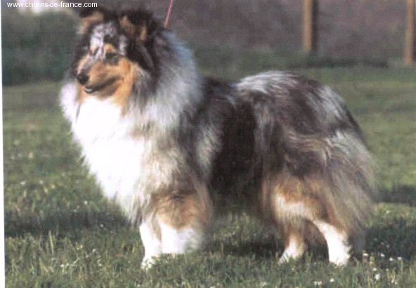 Publication : De L'Oustaou de Sandy