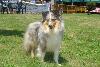 Publication : De L'Oustaou de Sandy