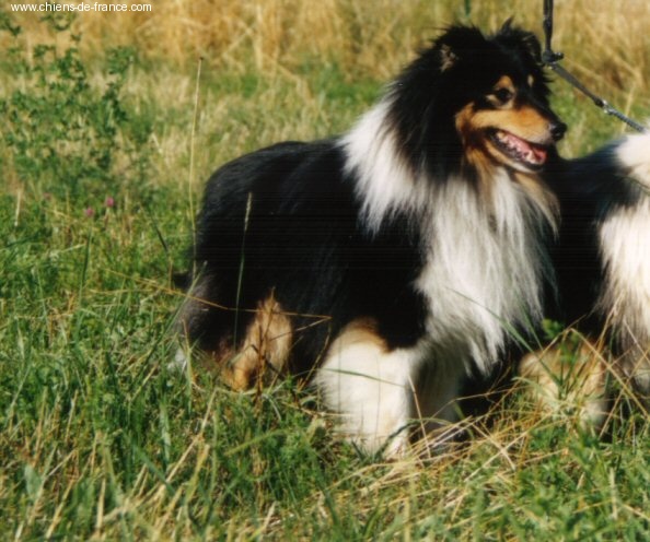 Publication : De L'Oustaou de Sandy