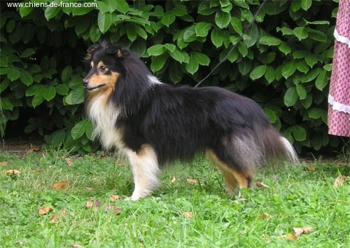 Publication : De L'Oustaou de Sandy