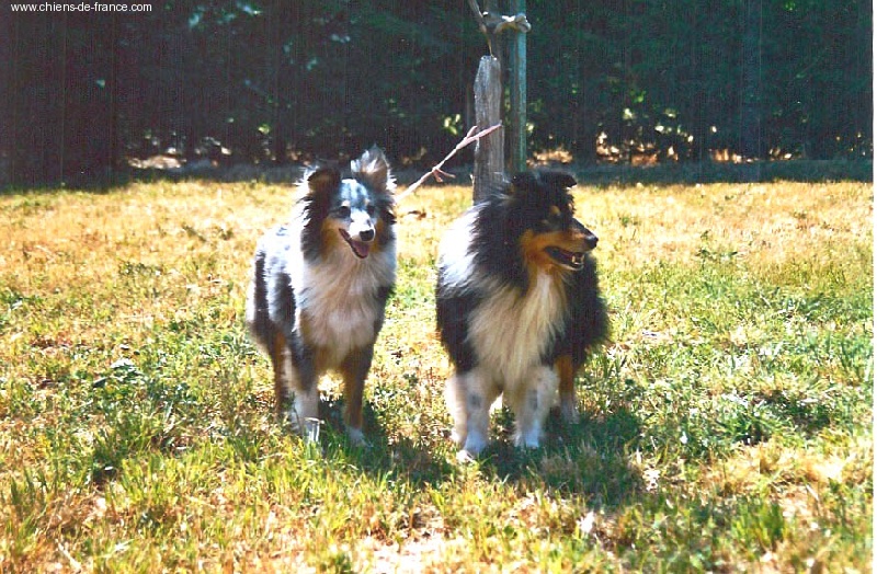 Publication : De L'Oustaou de Sandy