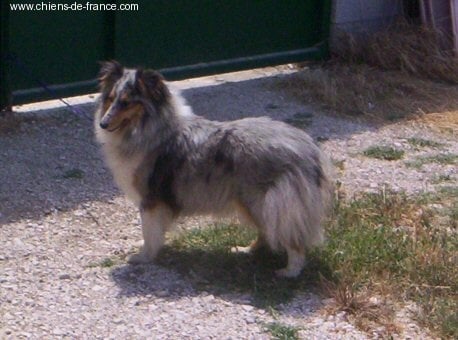 Publication : De L'Oustaou de Sandy