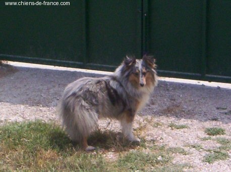 Publication : De L'Oustaou de Sandy