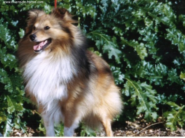 Publication : De L'Oustaou de Sandy