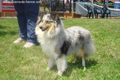 Publication : De L'Oustaou de Sandy