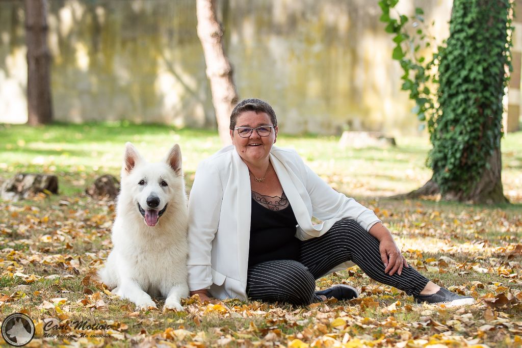 Publication : de Dame Midnight Auteur : Carole cnudde