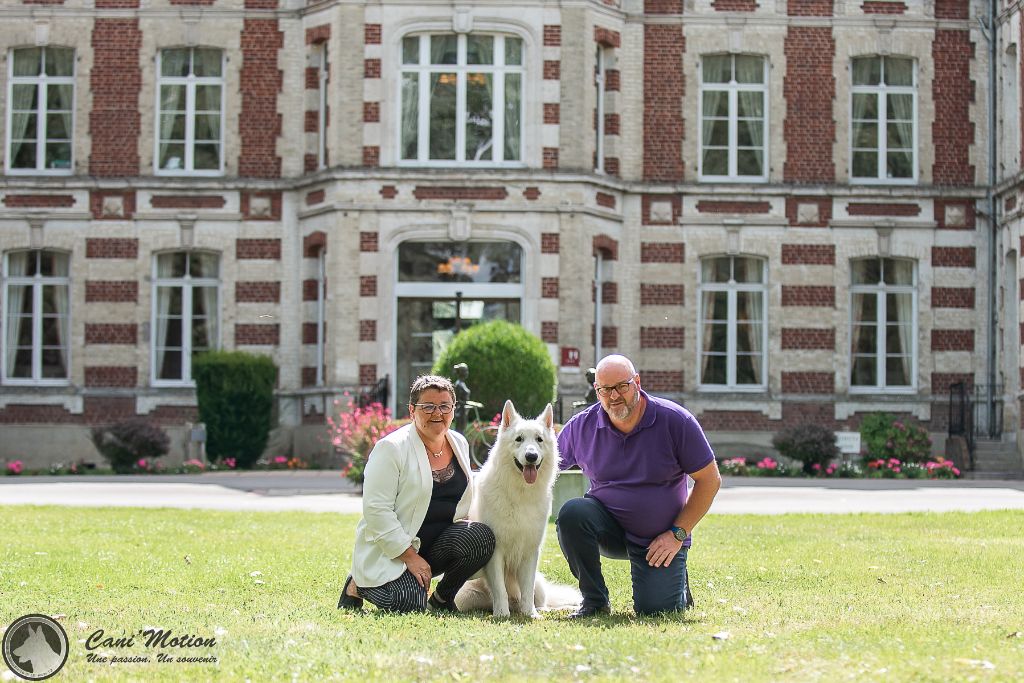 Publication : de Dame Midnight Auteur : Carole cnudde