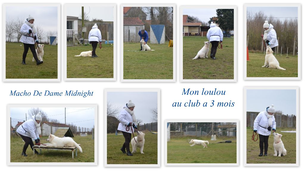 Publication : de Dame Midnight Auteur : Carole cnudde