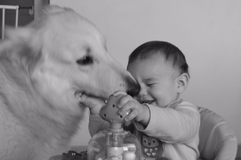 Publication : de Dame Midnight Auteur : Cnudde Carole