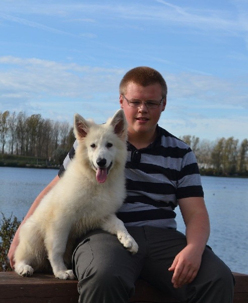 Publication : de Dame Midnight Auteur : Cnudde Carole