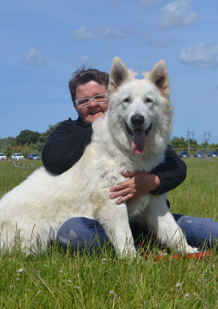 Publication : de Dame Midnight Auteur : Carole cnudde